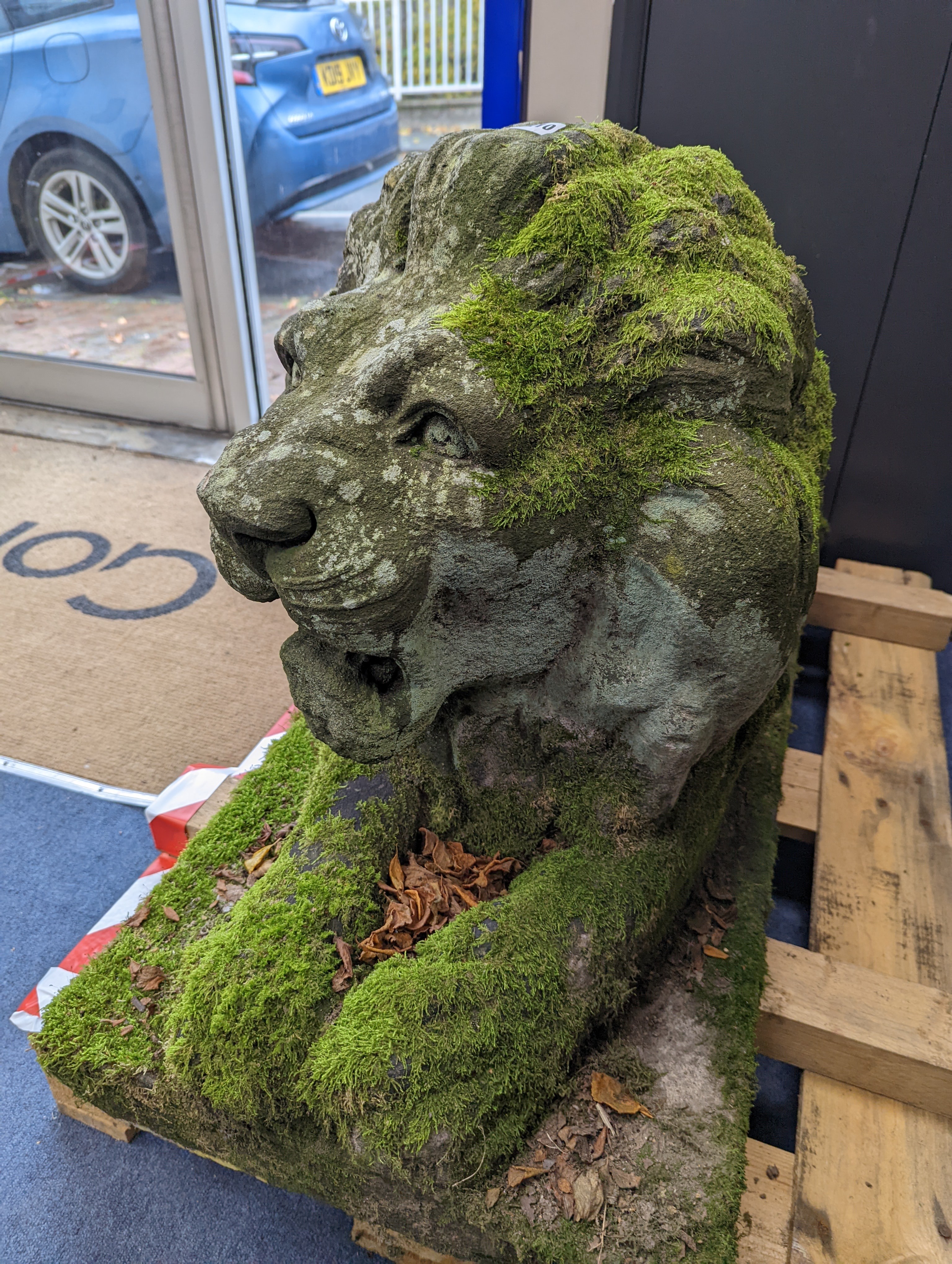 A pair of carved stone models of a recumbent lion and lioness, purchased from Crowther of Syon Lodge approximately 40 years ago. Length 122cm. Width 50cm. Height 60cm.